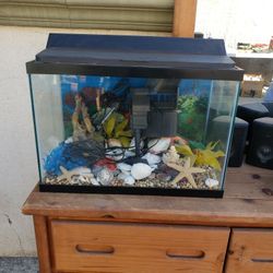 Fish Tank 