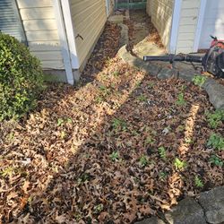 leaf removal