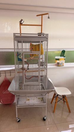 Parrot cage