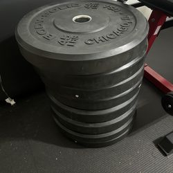 BODY SOLID Bumper Plates