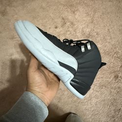 Jordan 12 Size 11