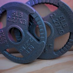 5 Lb Metal Weight Plates