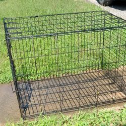 Kennel