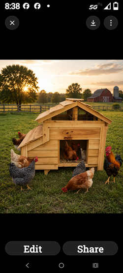 Chicken coop