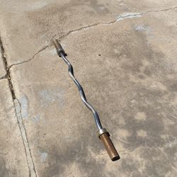 Olympic Curl Bar 