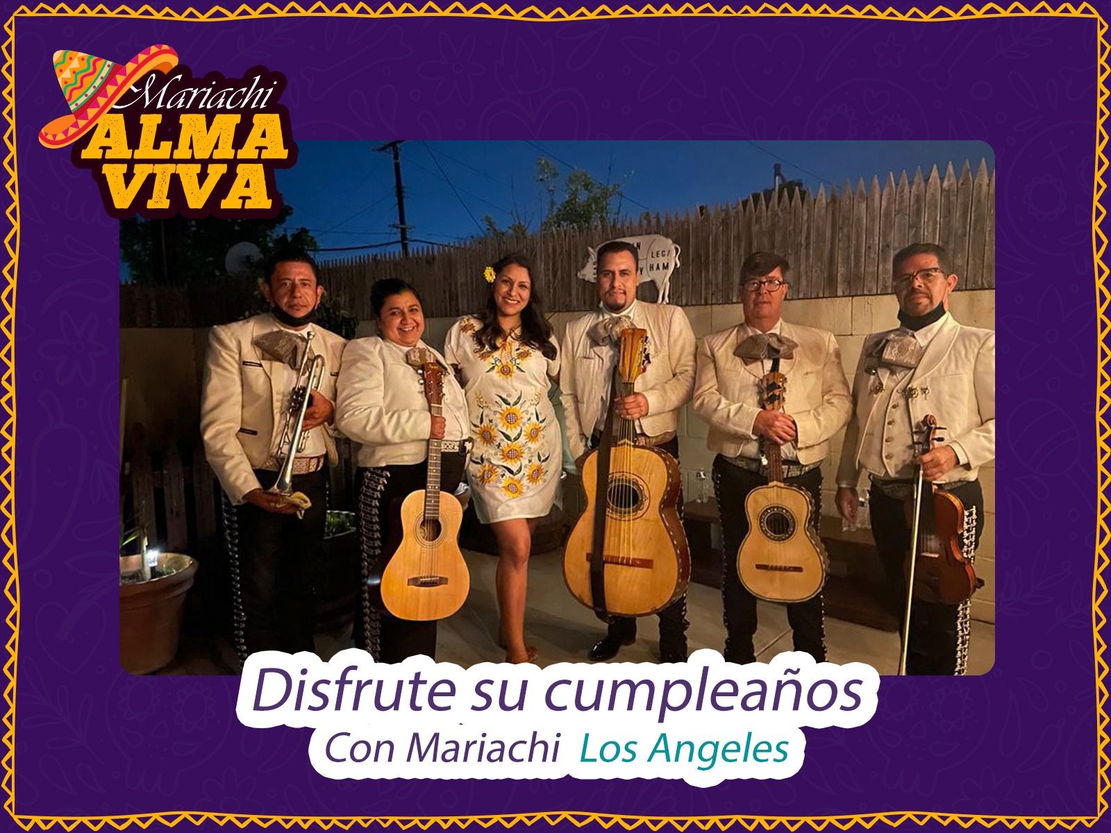 Violin Armonía De Mariachi