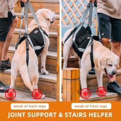 🐕 XXL Dog Lift Harness 20$💥