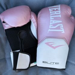 Pink Everlast boxing Gloves