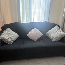 Couches/ Sofa