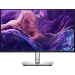 Dell 24" IPS Monitor