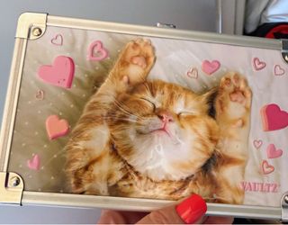 Vaultz Locking Storage Box Kitten Design