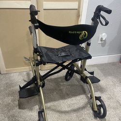 Adult Walker/Wheelchair