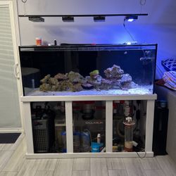 Fish Tank For Sale 
