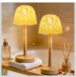 2 Pack Spa-Like Waterproof Bathroom Shower Lamp with 16 Color