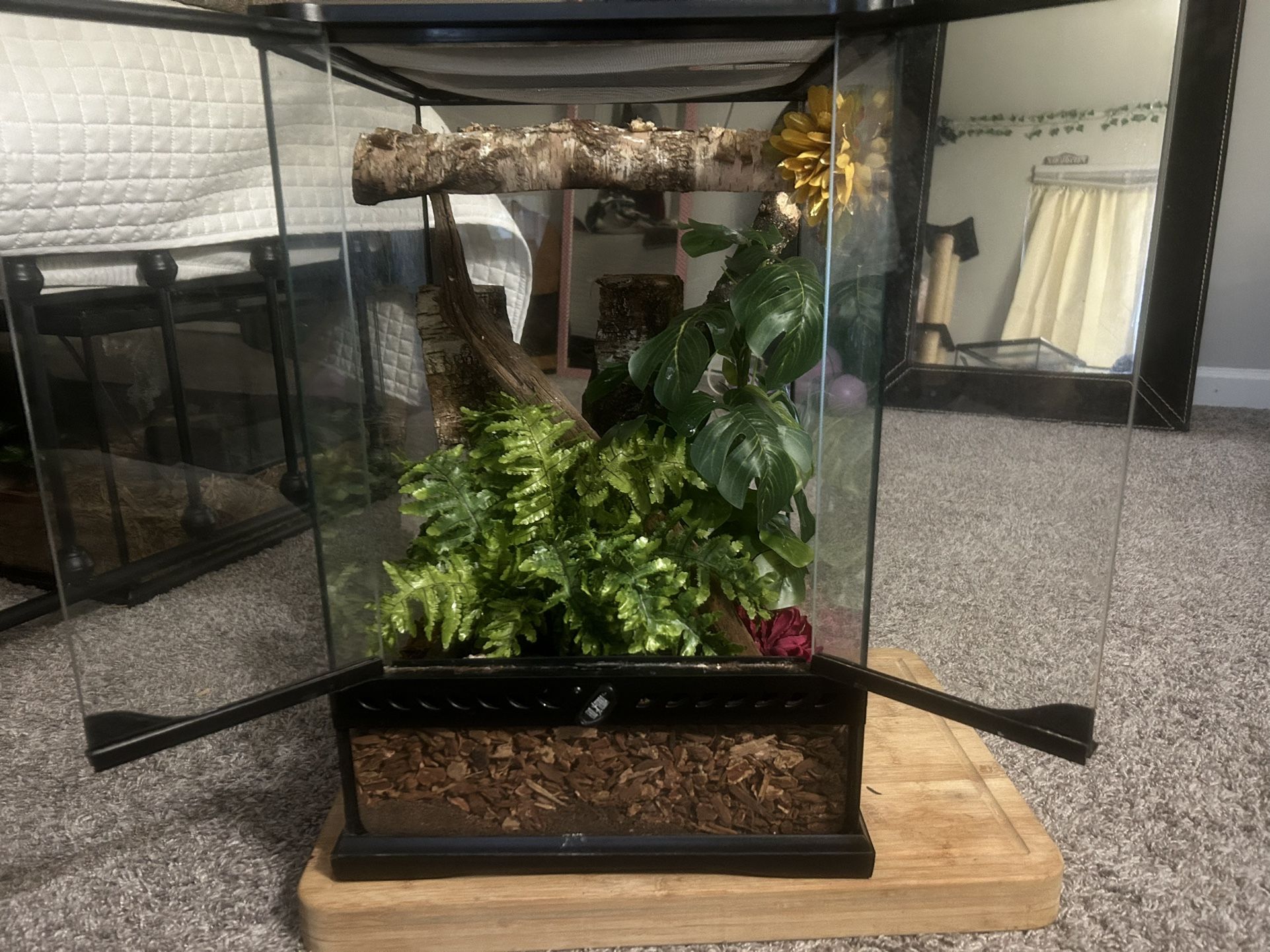 Crested Gecko Enclosure / Reptile Tank 