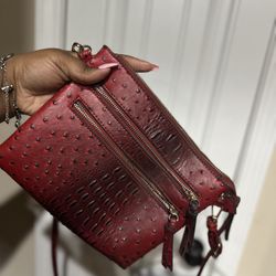 Ombré crossbody purse 