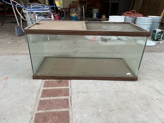 Fish tank