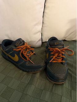 Nike dunks kids