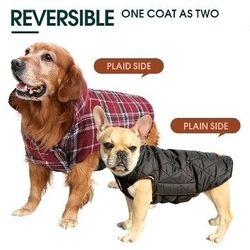 NEW* Reversible Dog Jacket (Medium)