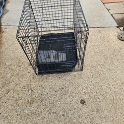 Medium cage 24 x 18 on top/ arriba by 20 in high/ altura 