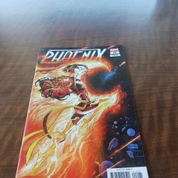 Phoenix #12 Marvel Comics Netho Diaz Variant Cover B June 2025