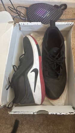 LeBron Witness II