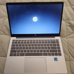 Basic HP Laptop