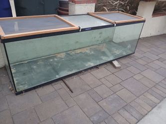 Reptile enclosure