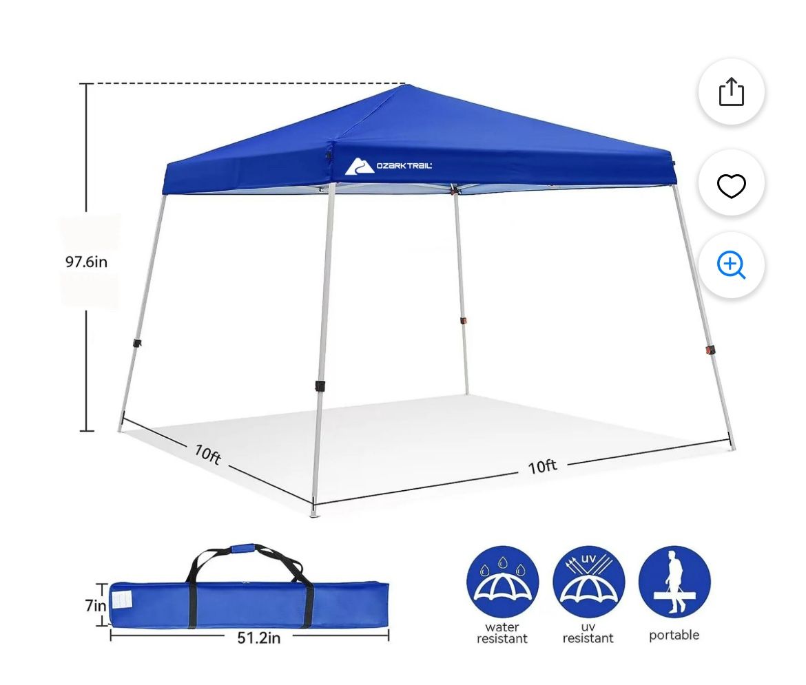 Canopy (Great Condition) $40