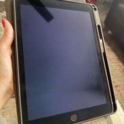 iPad Air 2