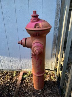 1895 Vintage Cast Iron Fire Hydrant