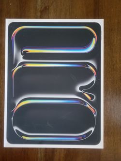 Ipad Pro (M4) 13 inch 256 GB