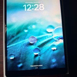 iPad Pro 256 GB Cellular + WiFi