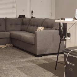 Couch- pending pick up