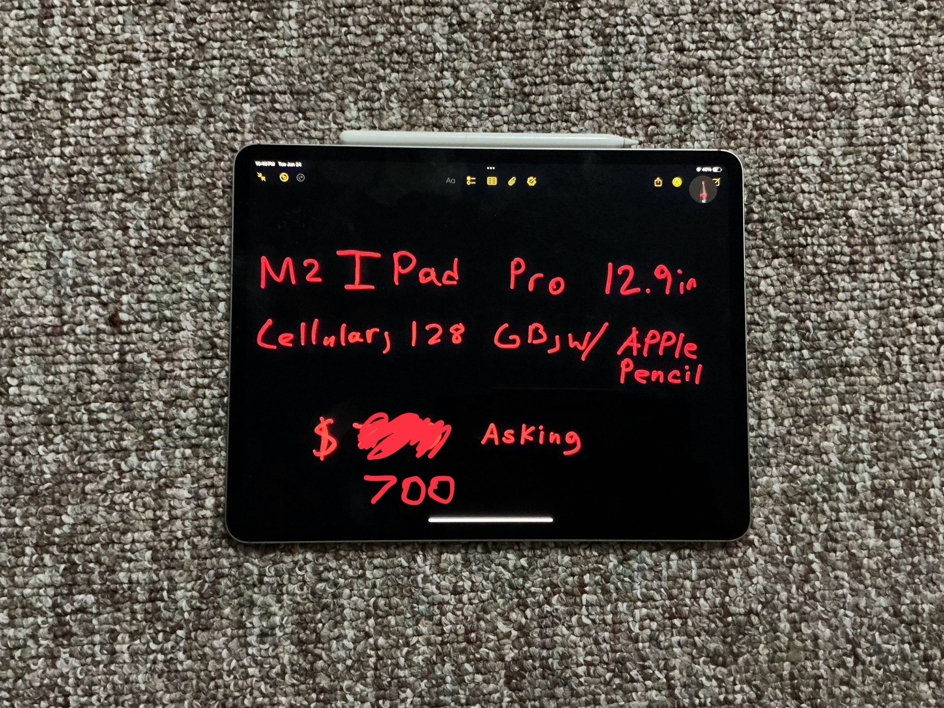 12.9in IPad Pro (6th generation/M2) with Apple Pencil