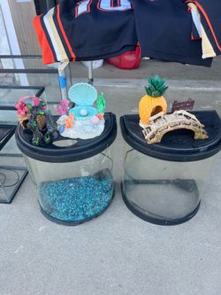 Betta fish tanks
