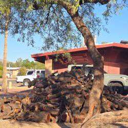 Firewood 