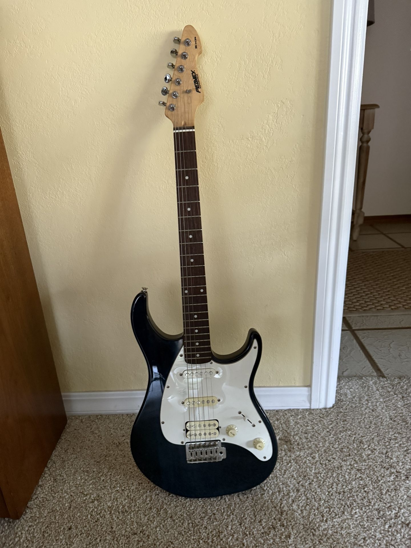 Peavy Raptor+ Guitar W/case