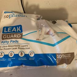 Large Potty Pads 24 X 24