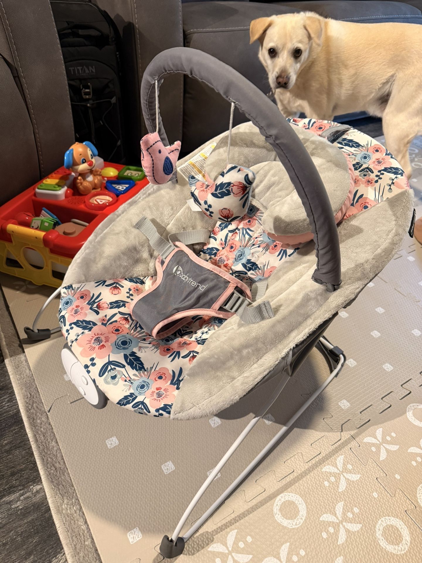 Baby Bouncer