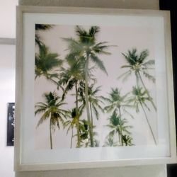 20 By 20 Inches Palm Tree Wall Art