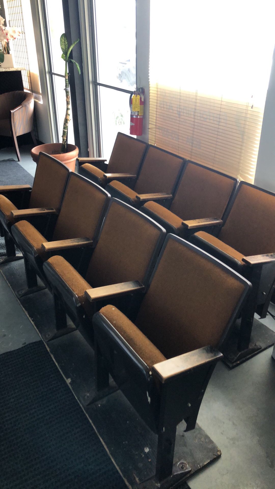 Theater Seats (~50)