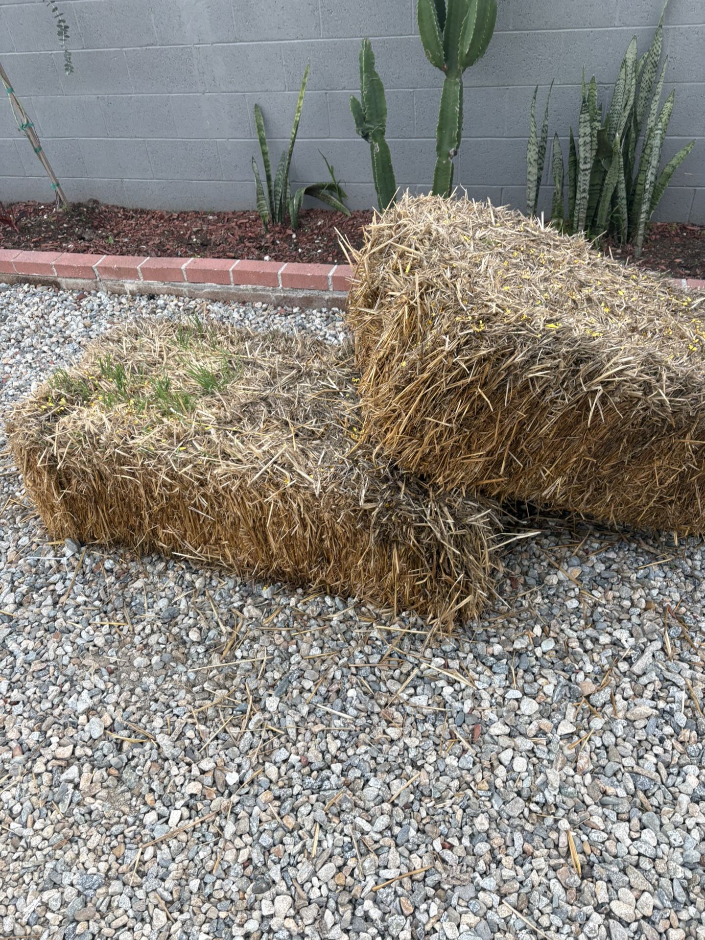 Free Hay In Downey 