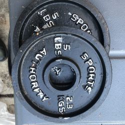 Pair of 5 Lb  Sports Authority Plates