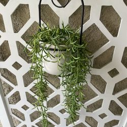 Plant - Faux Hanging Plant In Ceramic Pot With Metal Holder