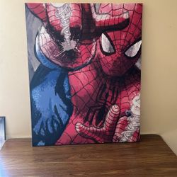 Spider-Man Canvas Art