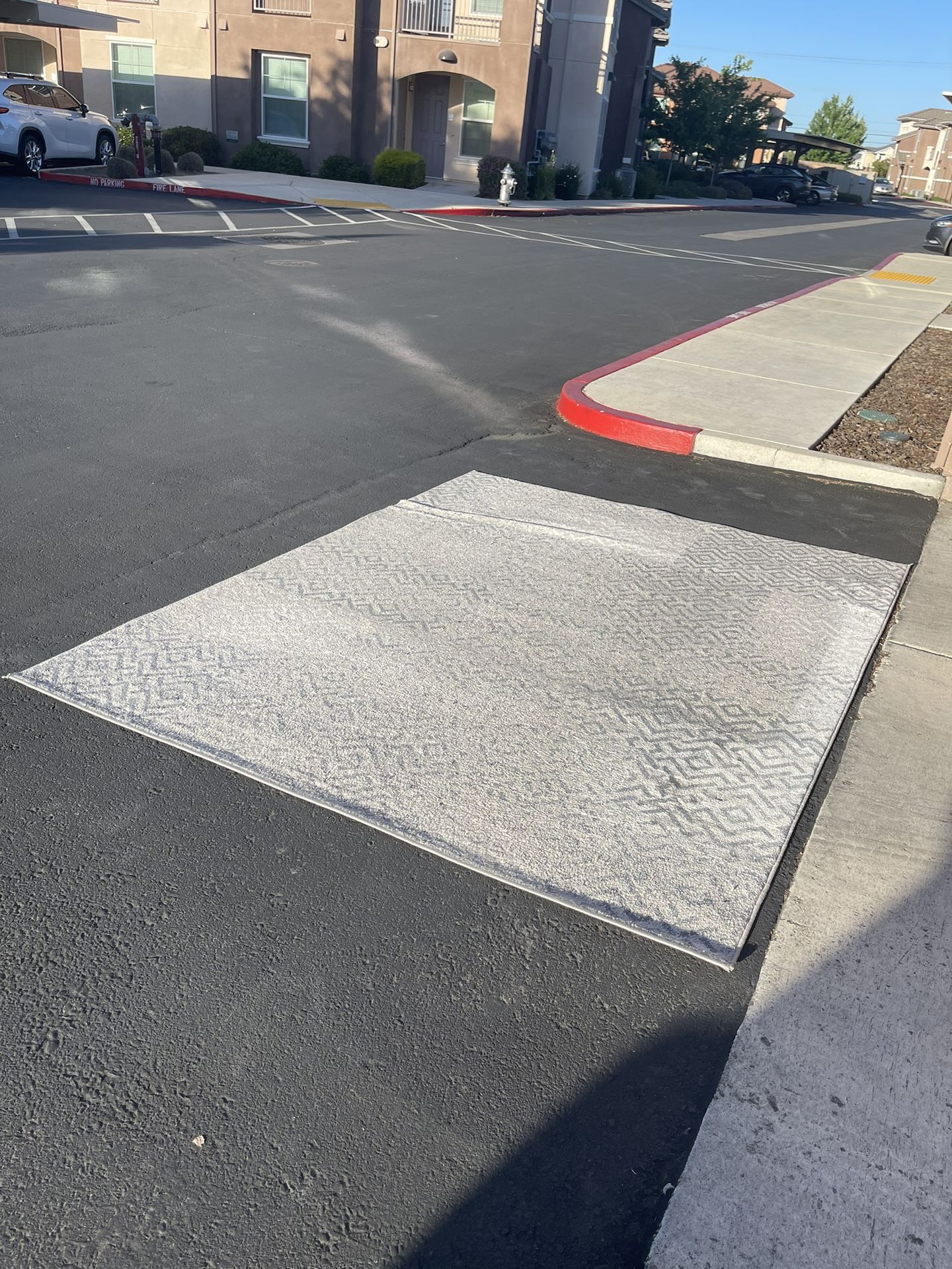 6 X 9 Area Rug