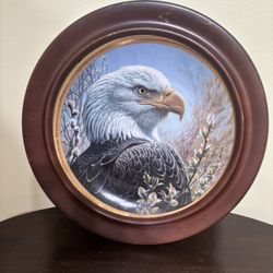 Collectibles Bald Eagle Plate Decor Hamilton Collection Framed Patriot Military America