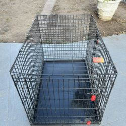 KONG Large Dog Crate 