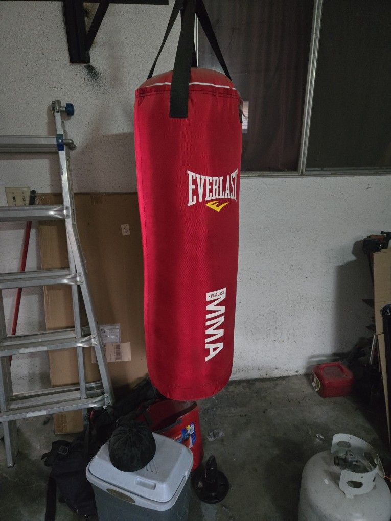 Everlast MMA Punching Bag